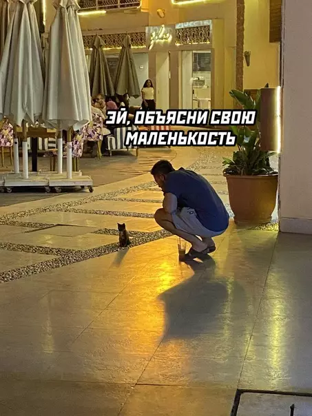 Смешная картинка №579811