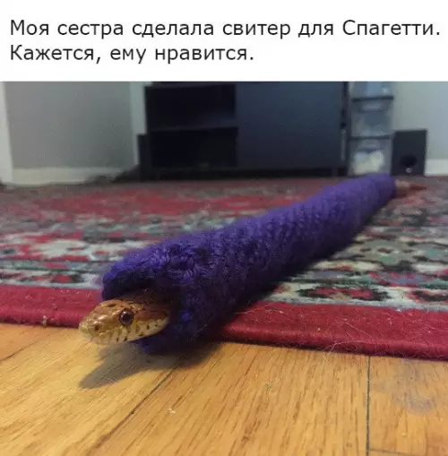 Смешная картинка №237840
