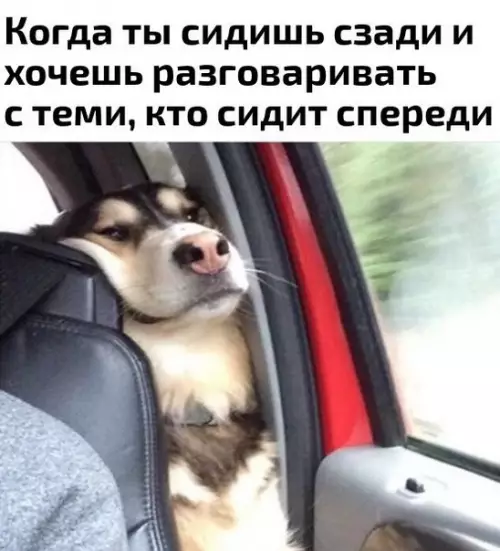 Смешная картинка №176532