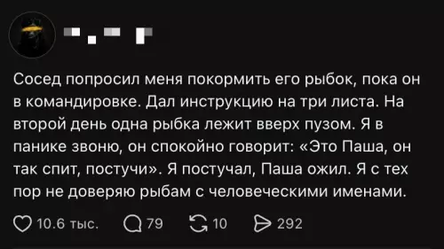 Смешная картинка №817896 домашние животные