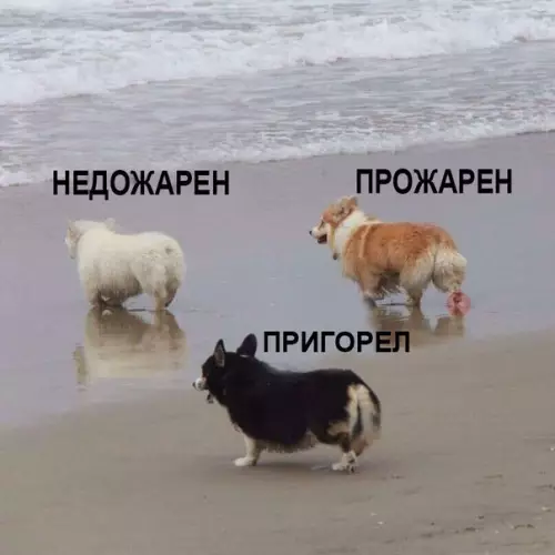 Смешная картинка №275423 Степень прожарки в Корее: