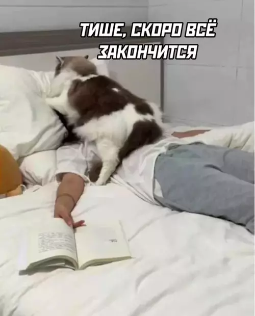 Смешная картинка №703376