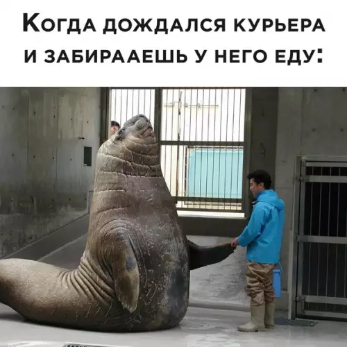 Смешная картинка №602519