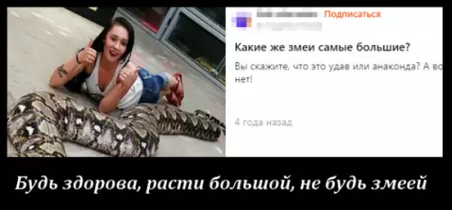 Смешная картинка №665888 Какие змеи самые большие
