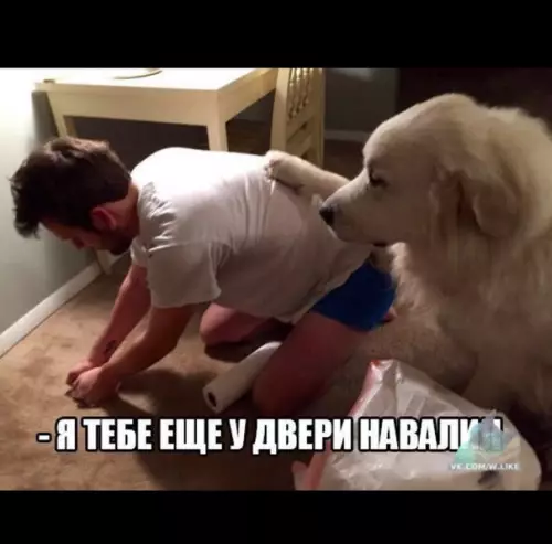 Смешная картинка №345940