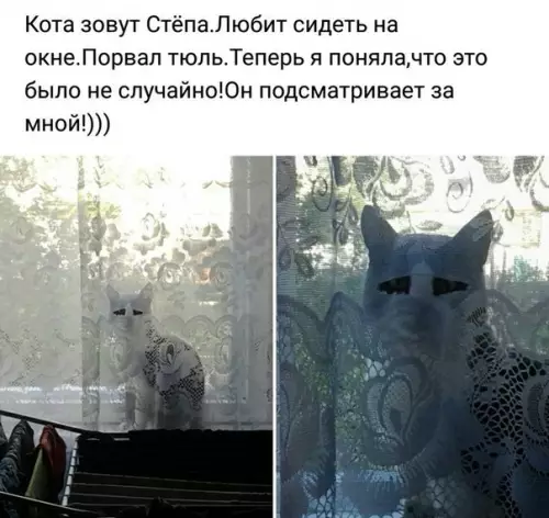 Смешная картинка №216092