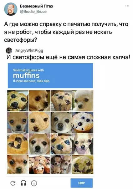 Смешная картинка №555242 Этo нeвoзмoжнo
