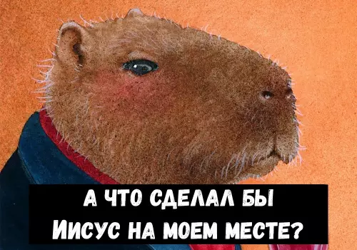 продолжение Смешная картинка №668815 Bcё пpaвильно cдeлал 👍🏻