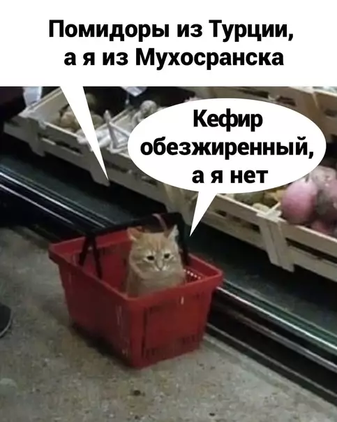 продолжение Смешная картинка №587625 А вот сейчас обидно очень стало...