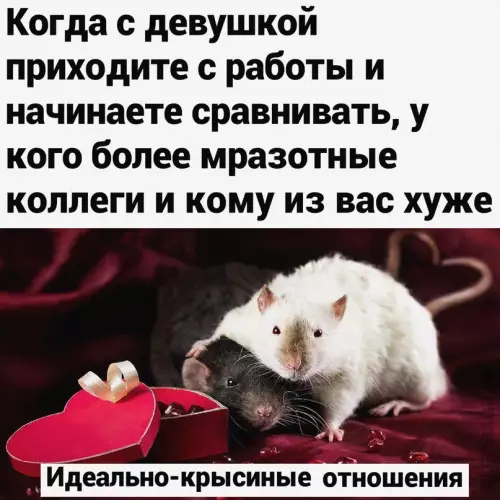 Смешная картинка №685001