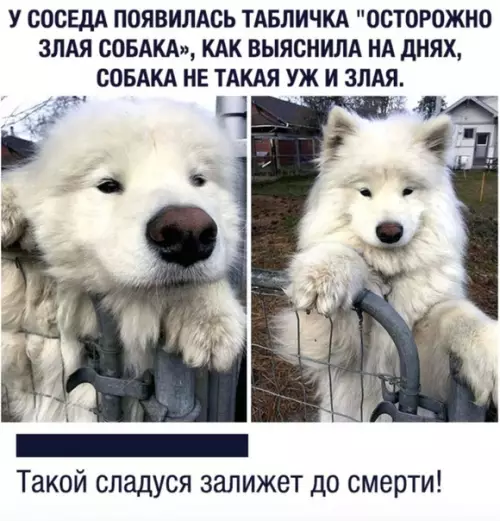 Смешная картинка №371764 Будьте бдительны