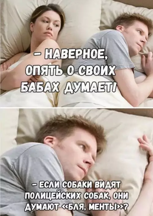 Смешная картинка №654156