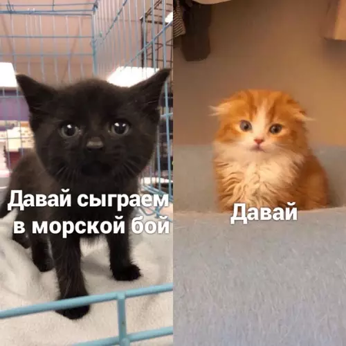 Смешная картинка №536802