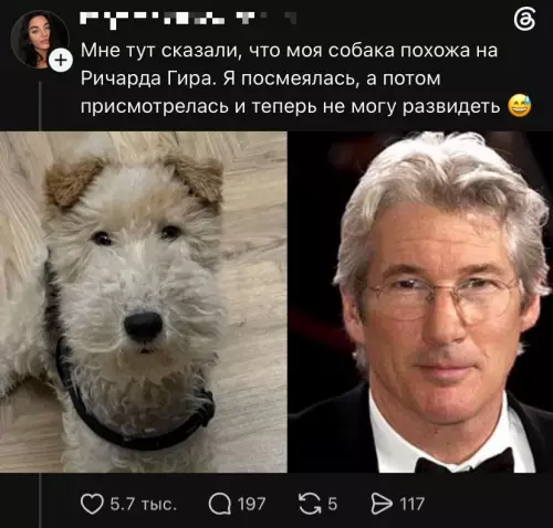 Твой пес — звезда Голливуда? 😂🐶 - Мне тут сказали, что моя собака похожа на Ричарда Гира.