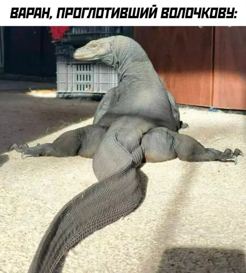 Смешная картинка №693555