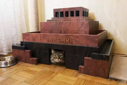 Пирамида для кота-фасцинатора 🐈‍⬛👑 - БАРСИК