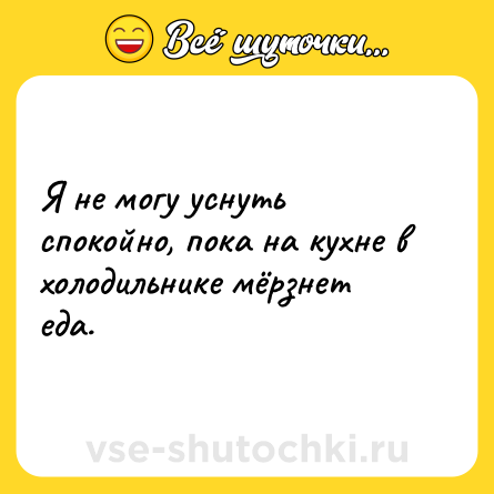 Шутка: Я не могу уснуть спокойно, пока на кухне в холодильнике мёрзнет еда.