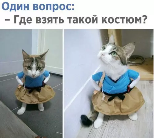 Смешная картинка №255874
