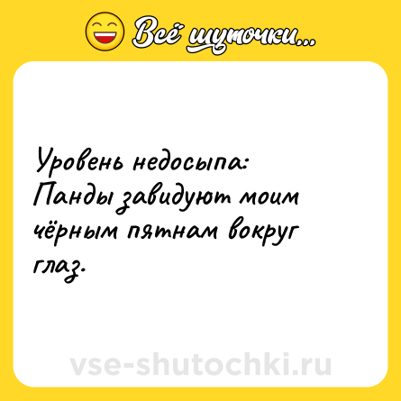 Шутка: Уровень недосыпа:<br>Панды завидуют моим чёрным пятнам вокруг глаз.