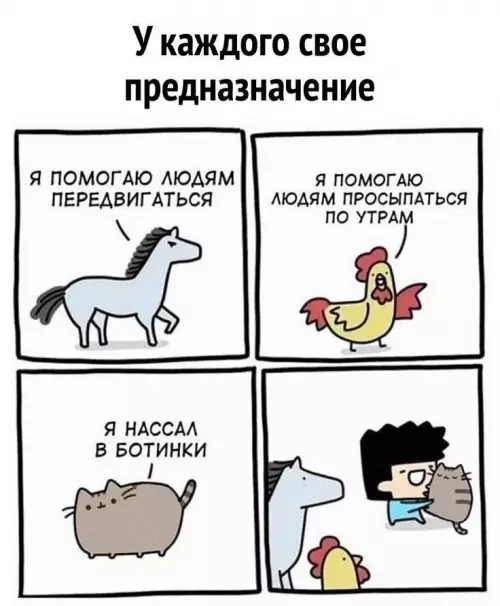 Смешная картинка №790142