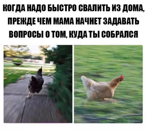 Смешная картинка №207303