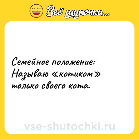 Шутка: Семейное положение: Называю «котиком» только своего кота.
