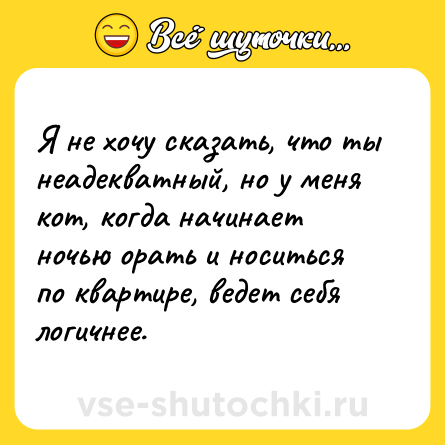Шутка: Я не хочу сказать, что ты неадекватный, но у меня кот, когда начинает ночью орать и носиться по квартире, ведет себя логичнее.