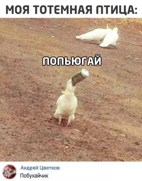 Смешная картинка №549718
