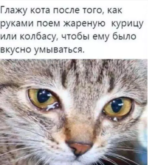 Смешная картинка №663062 и чтобы шкурка красиво блестела