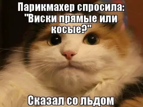 Когда не понял вопрос парикмахера 😂🥃 - Парикмахер спросила: Виски прямые или косые? Сказал со льдом
