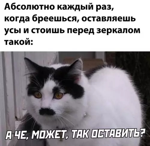 Смешная картинка №514804