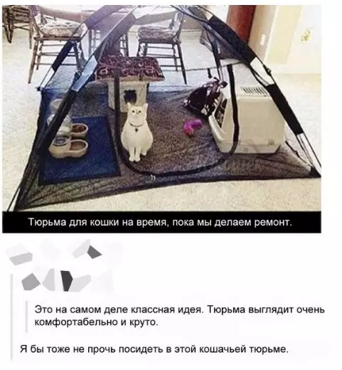 Смешная картинка №232713 коты