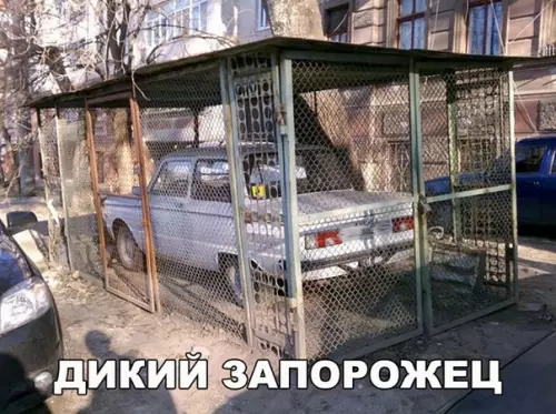 Смешная картинка №256299