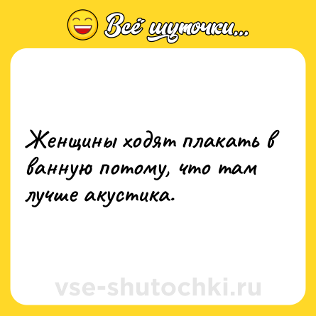 Шутка: Женщины ходят плакать в ванную потому, что там лучше акустика.