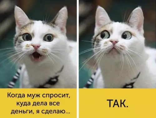 Смешная картинка №183529