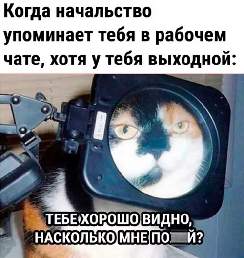 Смешная картинка №684105 Работа, начальник 