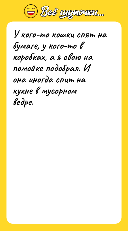 У кого-то кошки спят на бумаге, у кого-то в коробках,