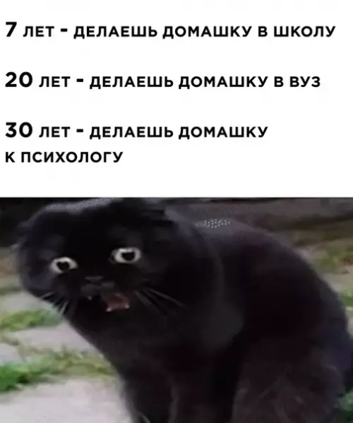 Смешная картинка №509565