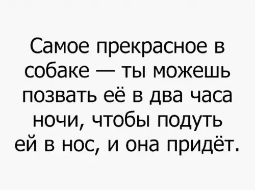 Смешная картинка №236835