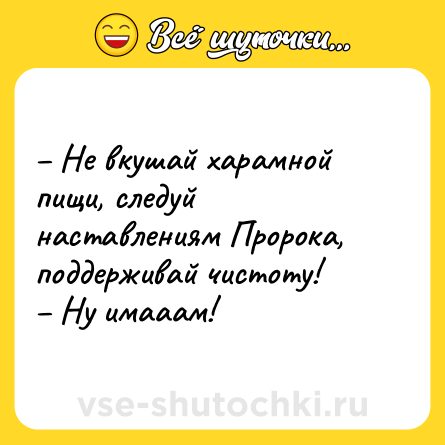 Шутка: – Не вкушай харамной пищи, следуй наставлениям Пророка, поддерживай чистоту!<br>– Ну имааам!
