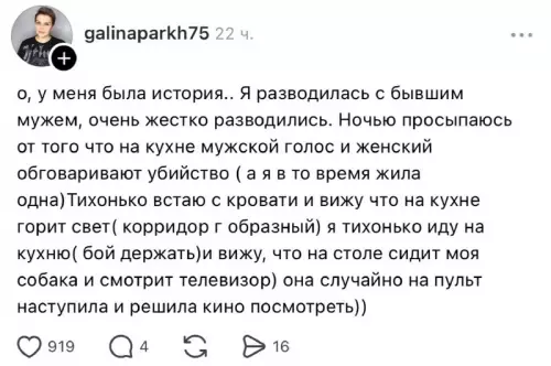 Когда твой пес — любитель криминальных драм 🐕📺 - о, у меня была история.. Я разводилась с бывшим мужем,