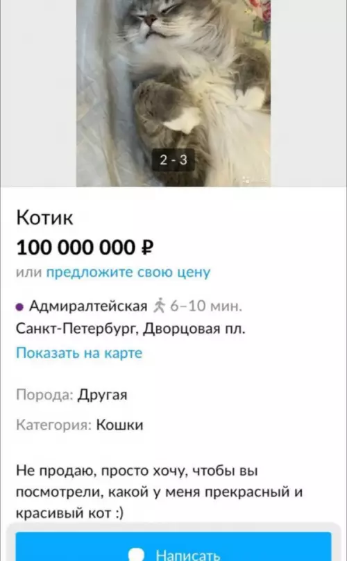 Смешная картинка №655491