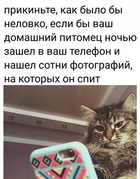 Смешная картинка №541658 Действительно, напряженная ситуация.