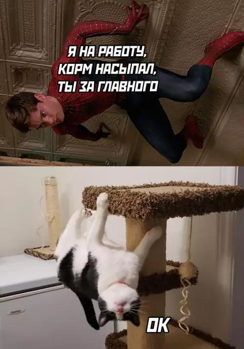 Смешная картинка №662062