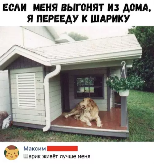 Смешная картинка №369153