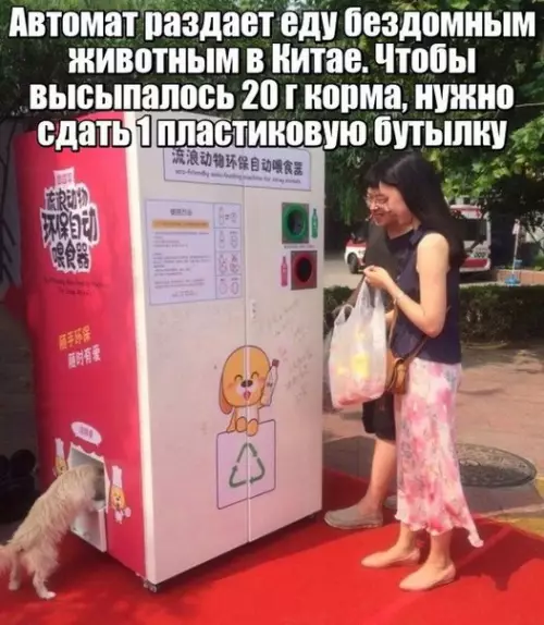 Смешная картинка №262545
