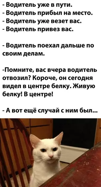 Смешная картинка №518503