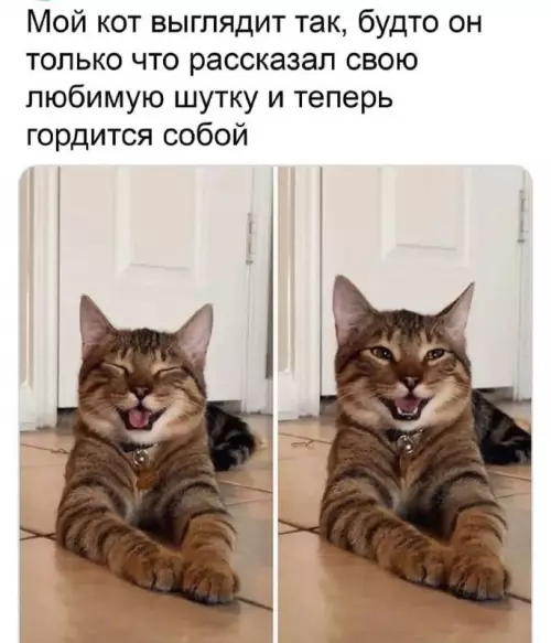 Смешная картинка №661474
