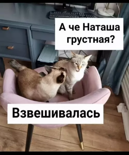 Смешная картинка №803599