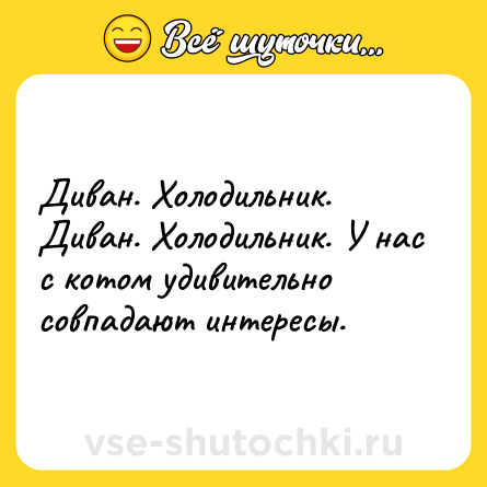 Шутка: Диван. Холодильник. Диван. Холодильник. У нас с котом удивительно совпадают интересы.